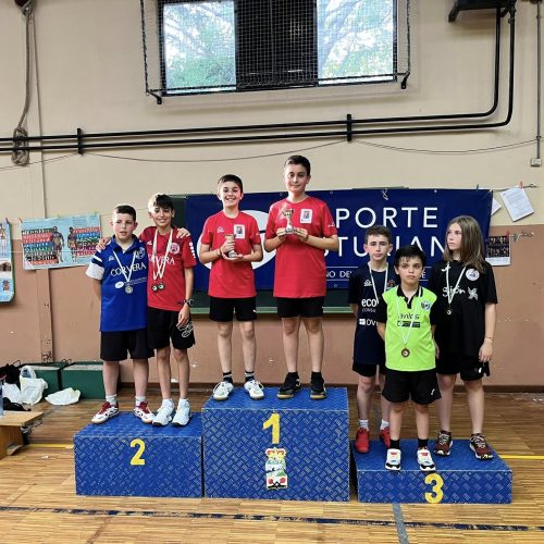 Campeonato de Asturias alevín
