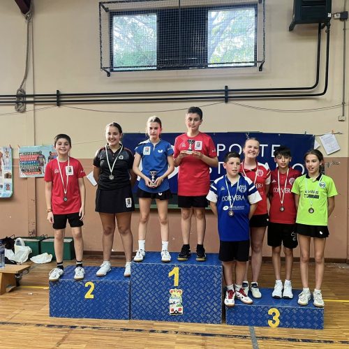 Campeonato de Asturias alevín