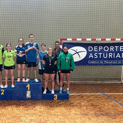 Campeonato de Asturias absoluto tenis mesa