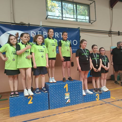 Ganador benjamín equipos femenino