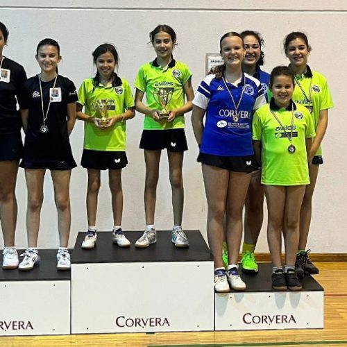Campeonato de Asturias infantil