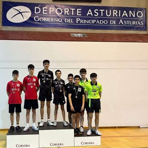 Campeonato de Asturias infantil equipos masculino