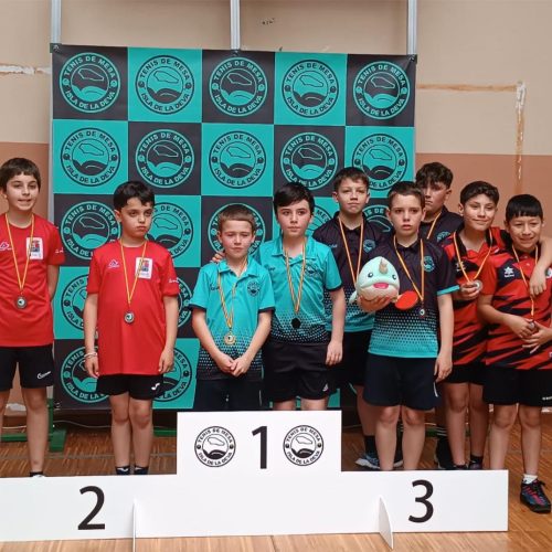 Campeonato Asturias alevín equipos