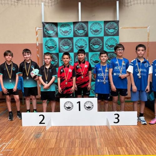 Campeonato de Asturias benjamín equipos