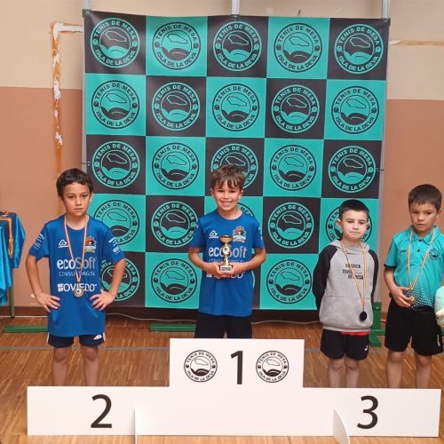 Campeonato de Asturias prebenjamín masculino